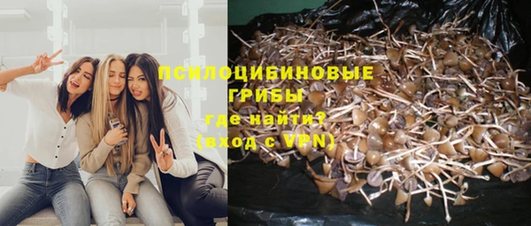 крисы Гусев