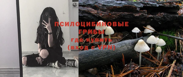 ешки Горнозаводск