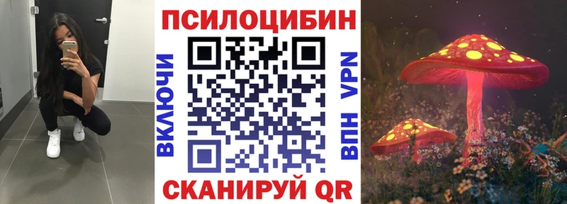Купить где Тарко-Сале Псилоцибиновые грибы мухоморы